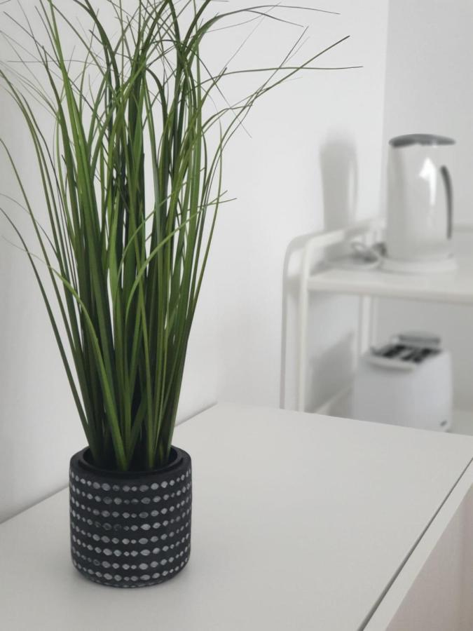 אבאירו Palmeira Comfort מראה חיצוני תמונה